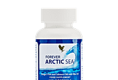 Arctic sea a