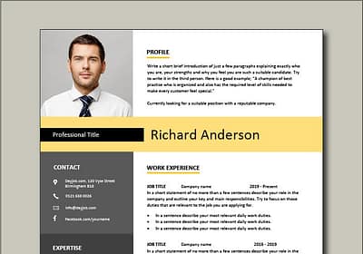 Premium CV template 2 1 page version