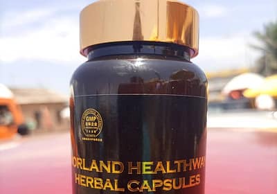 Norland Healthway Herbal Hypoglycemic Capsules
